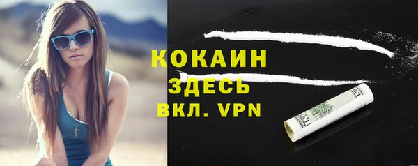 мет Ладушкин
