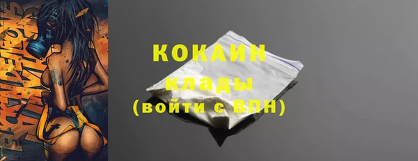 шишки Лагань