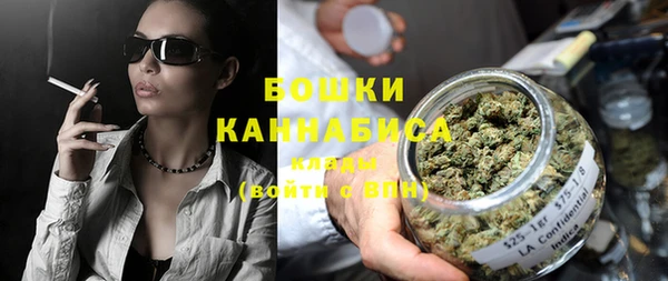шишки Лагань