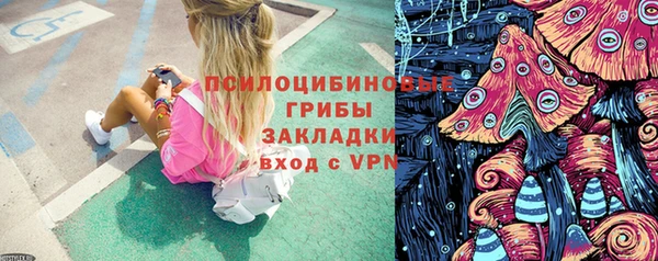 мет Ладушкин